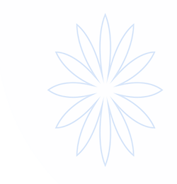 UED体育（国际）网页版登陆